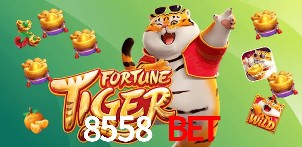 Statistics 8558 bet